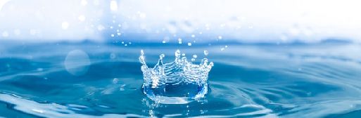 Foto: freepik  – Freepik – Premium License